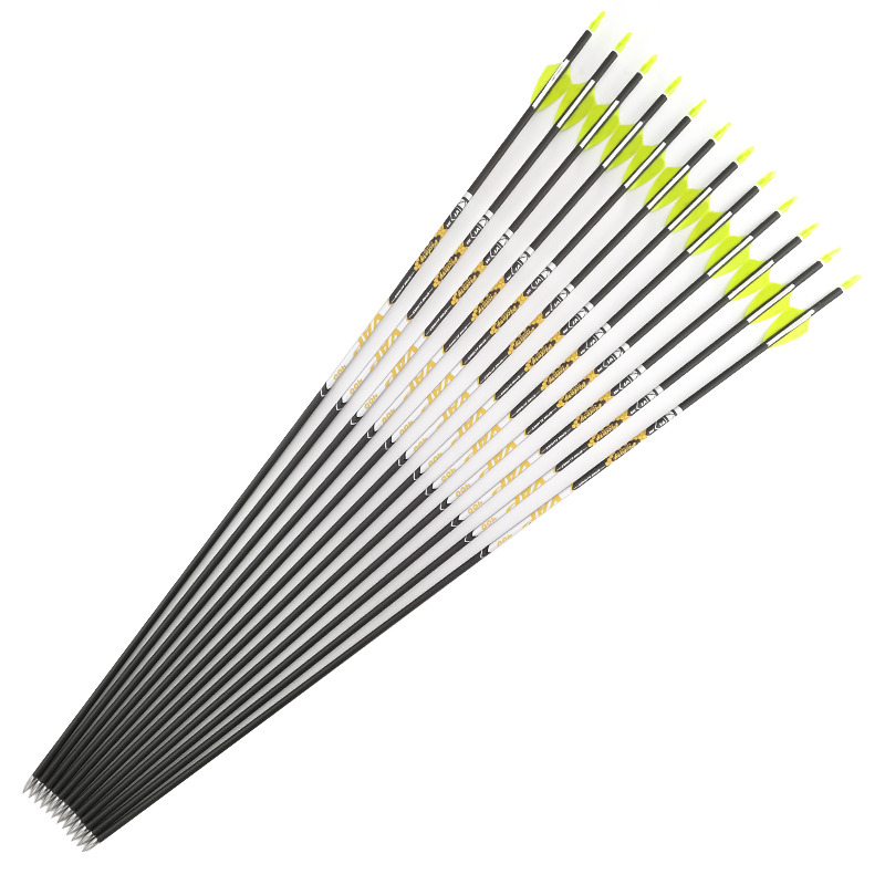 Bogenschießen Spine 350 400 45 – Hunting Bow Compound Bewertung und Preis