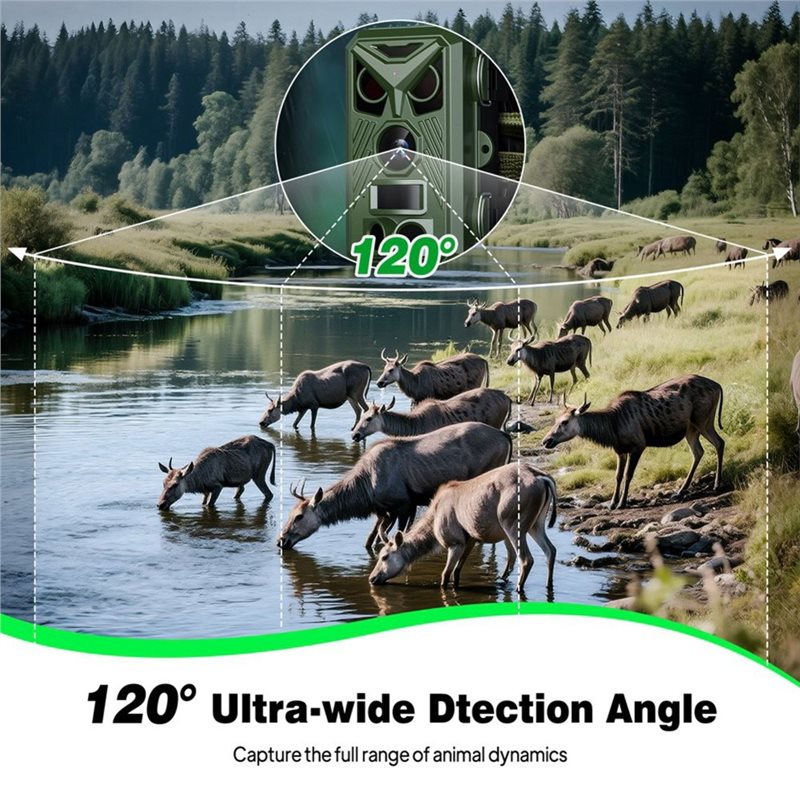 BTLIFE-Wildtier-Überwachungska – Hunting Outdoor Camera Bewertung und Preis