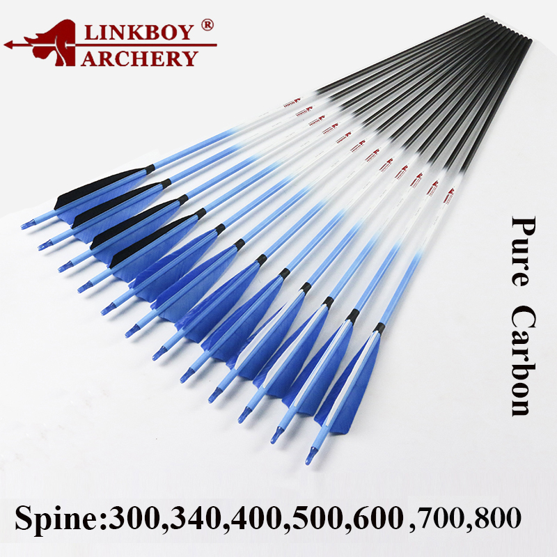 Linkboy Bogenschießen Carbon P – Hunting Bow Compound Bewertung und Preis