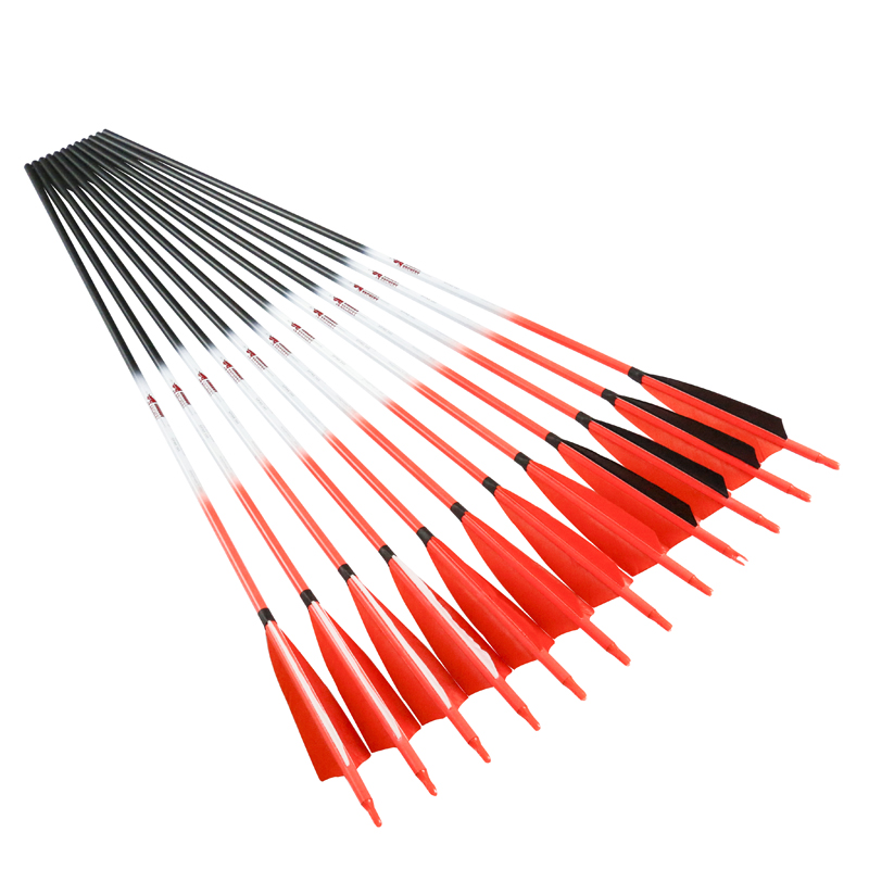 Linkboy Bogenschießen Carbon P – Hunting Bow Compound Bewertung und Preis