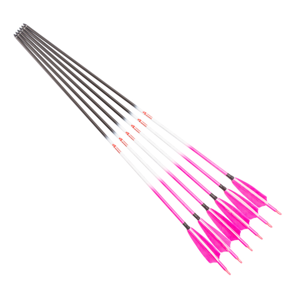 Linkboy Bogenschießen Carbon P – Hunting Bow Compound Bewertung und Preis
