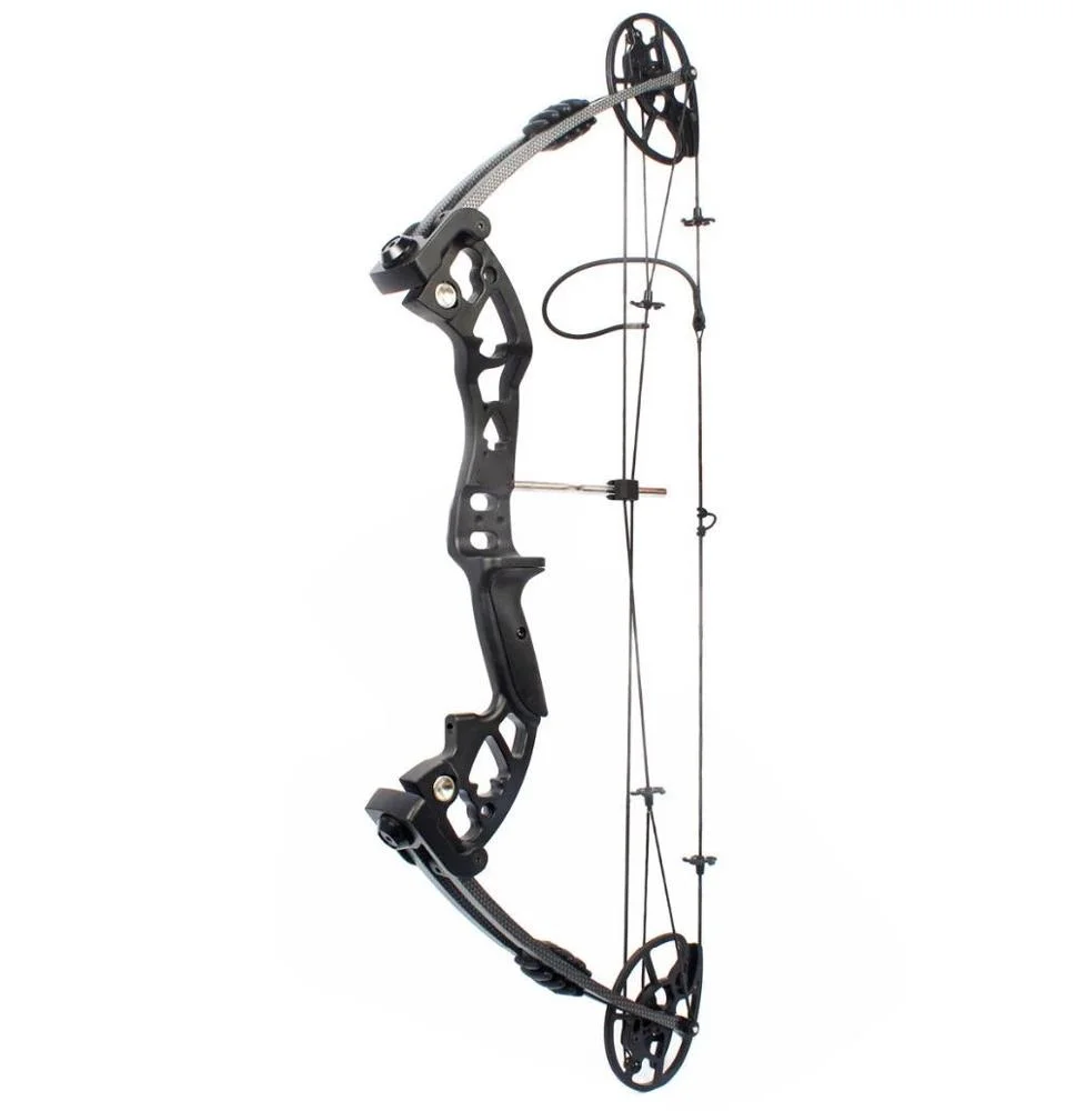 M120 Compoundbogen Neues Desig – Hunting Bow Compound Bewertung und Preis