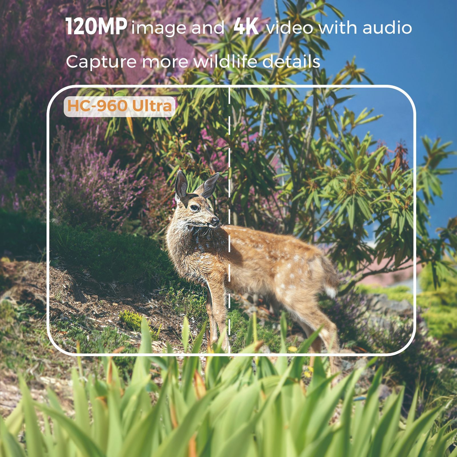 Outdoor 4K Video 120MP Foto 4G – Hunting Outdoor Camera Bewertung und Preis