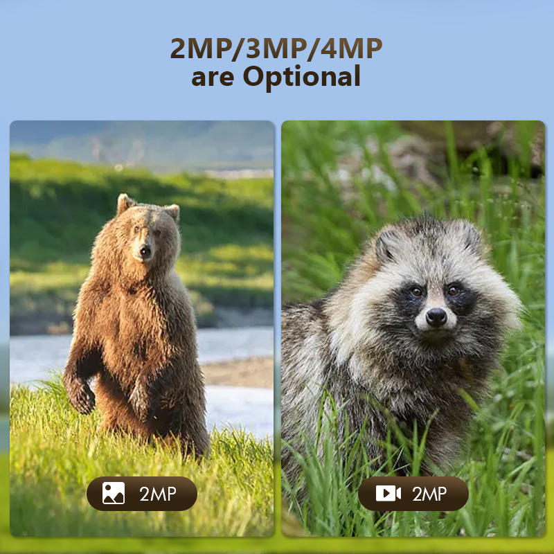 4G 4MP Outdoor Wildlife Huntin – Hunting Outdoor Camera Bewertung und Preis