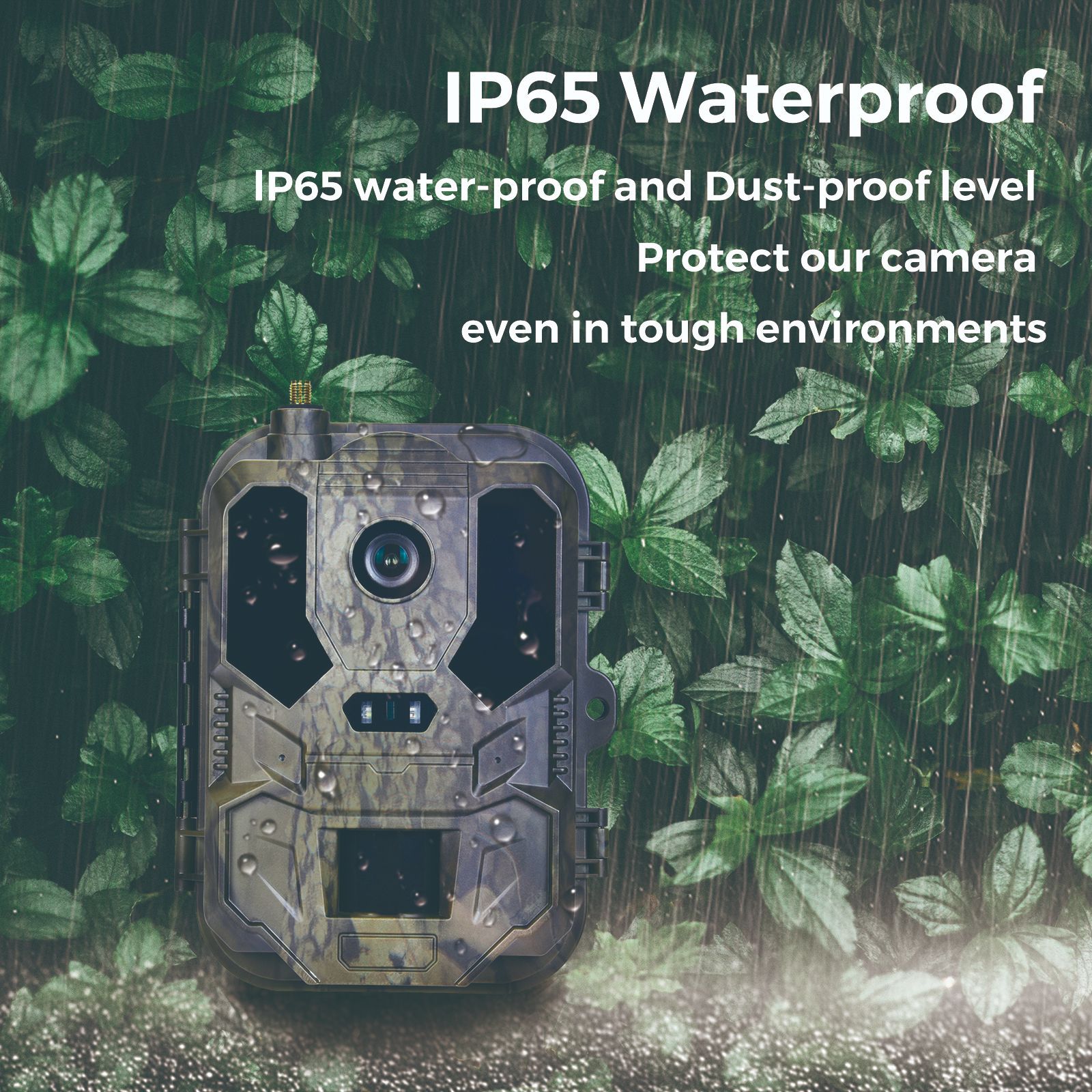 4G Wildtier-Infrarotkamera für – Hunting Outdoor Camera Bewertung und Preis